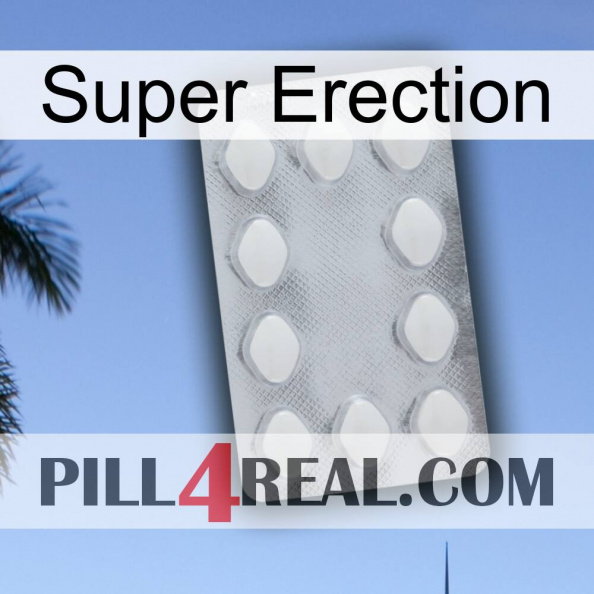 Super Erection 16.jpg